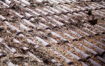 Ashford roof cleaning companies