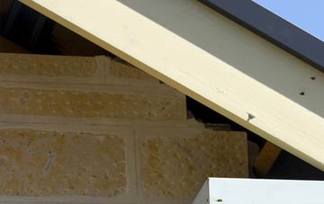 soffit repair Ashford
