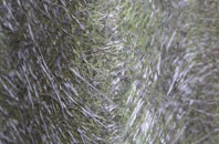 Ashford fibreglass roof work